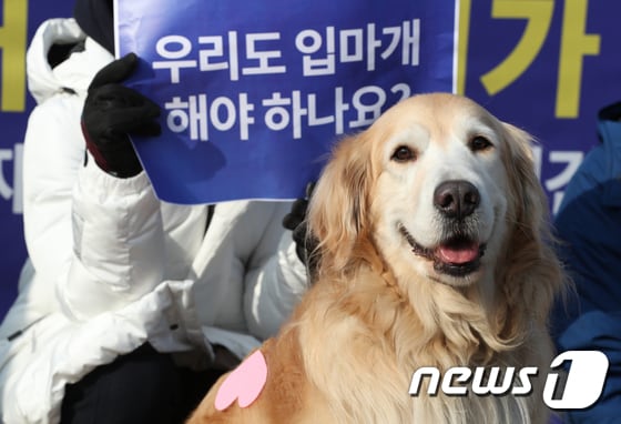 동물단체 회원들은 체고 40㎝ 개 입마개 착용 의무화 철회를 촉구했다./뉴스1 © News1 신웅수 기자