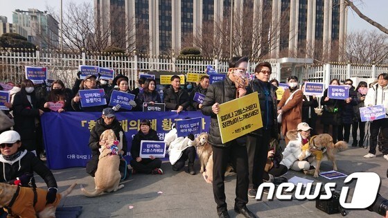 21일 오전 11시 동물권 단체 등 80여명이 서울 광화문 종합청사 앞에서 정부의 반려견 안전관리대책에 반대하는 집회를 갖고 있다. /뉴스1 © News1 이진성 기자