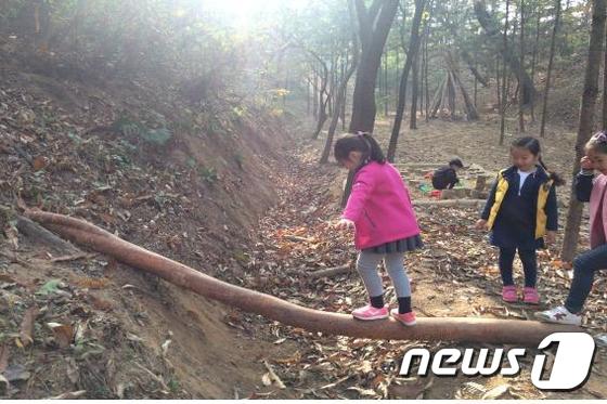 세종시 파랑새 유아숲체험원에서 아이들이 숲체험을 하고 있다.© News1
