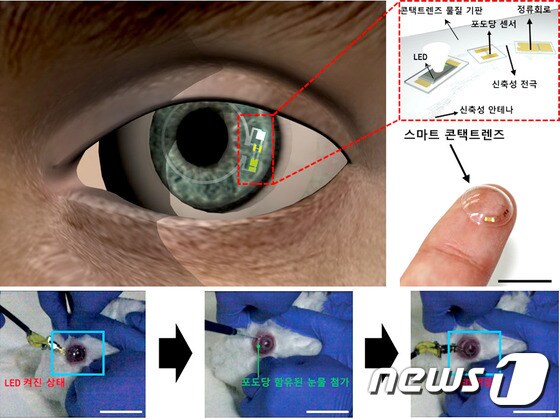 검은 눈 콘택트 렌즈