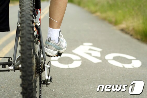 자전거 전용도로. © News1