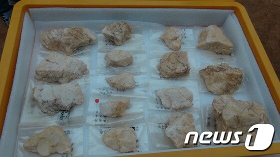 고양 도내동에서 발굴된 구석기 유물들 © News1