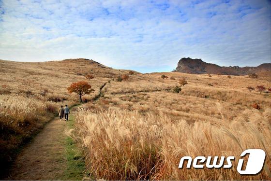  합천 황매산 군립공원 모습.(경남도 제공) /뉴스1© News1