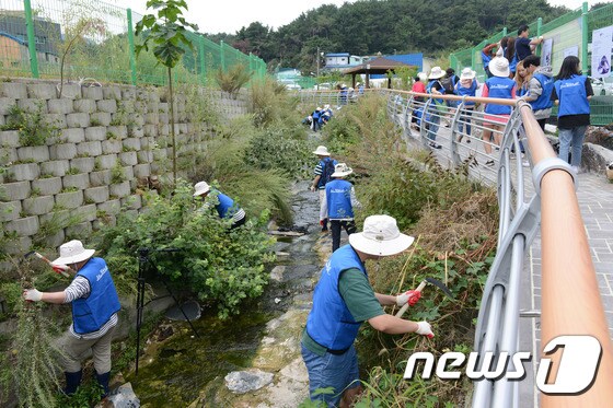 동의대가 지난해 개최한 안창마을 마을가꾸기 봉사활동 모습. (동의대 제공) 2018.10.2/뉴스1 © News1