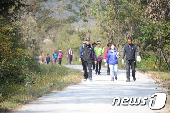 전북 순창군이 섬진강길을 걸으며 가을 정취를 만끽할 수 있는 생태·문화체험 걷기 행사를 마련했다. 지난해 행사 © News1