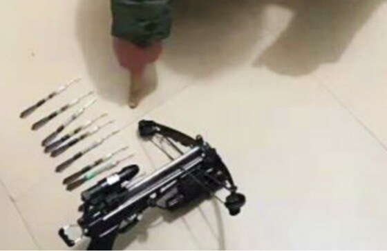 왕씨가 범행에 사용한 석궁과 마취 화살 - 쓰촨 경찰 웨이보 갈무리