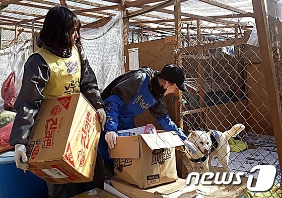 배우 조혜진(왼쪽)과 김사희가 2018년 11월 유기동물보호소 봉사활동을 하는 모습. © News1 최서윤 기자