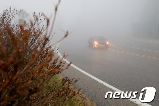 '짙은 안개 조심' 뉴스1DB © News1 서근영 기자