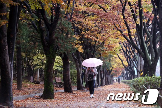 가을비 내리는 광주 남구 양림동 푸른길. 뉴스1DB © News1 남