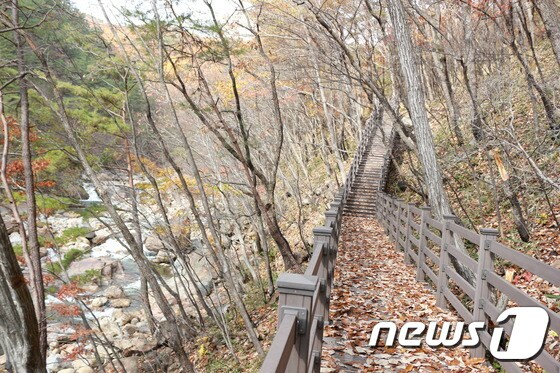 지리산국립공원 대원사계곡 탐방로(지리산국립공원사무소제공)© News1