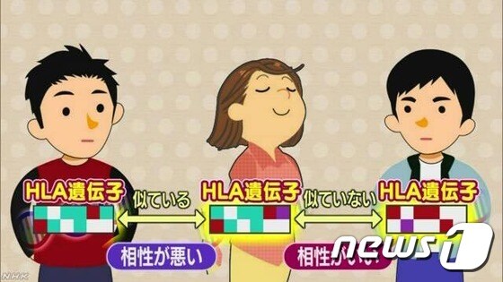 일본 젊은이들 사이에서 인기를 끄는 'DNA 곤카쓰'에 대해 설명하는 NHK 자료화면. (출처=NHK 갈무리) © News1 