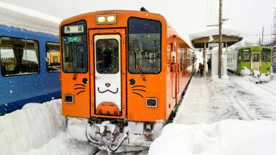 아키타 내륙종관철도는 22일부터 다음달 16일까지 고양이 열차를 운행한다. 