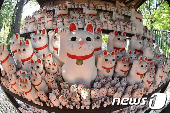 일본 고양이 인형 '마니키네코'. © AFP=뉴스1