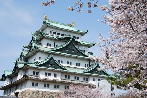 일본 3대 성인 나고야성은 벚꽃 명소로 유명하다. 이하 일본정부관광국 제공