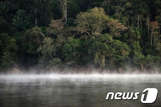 아마존으로 흘러들어가는 브라질 싱구강. © AFP=뉴스1