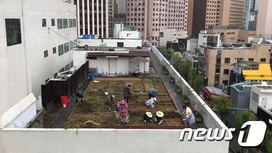 서울시 마포구 구수동 인근 옥상 텃밭.(파릇한 절믄이 제공)© News1