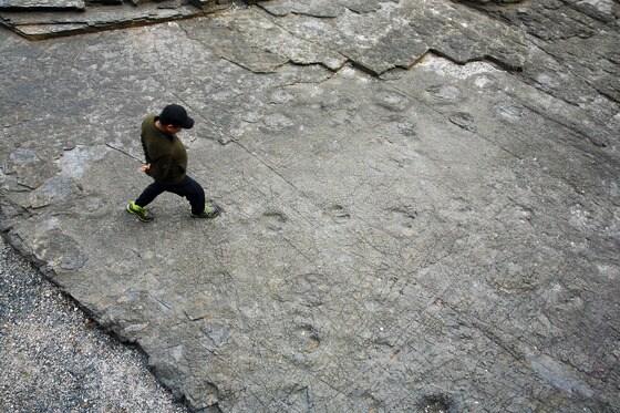 상족암군립공원의 공룡 발자국을 걷고 있는 여행자. 관광공사 제공