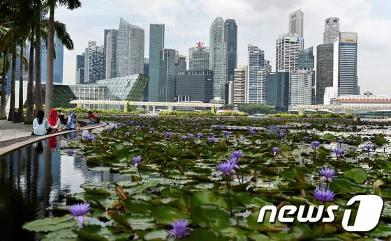 싱가포르 마리나베이샌즈 호텔 내 연못의 모습. © AFP=뉴스1