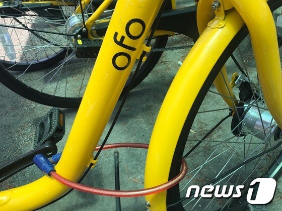 21일 부산 남구 자전거 거치소에 있는 오포자전거에 개인 자물쇠가 채워져 있다 © News1 박세진 기자