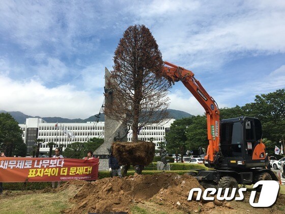 경남도청 정문화단에  심어진 채로제로 기념식수 나무가 27일 오후 3시 철거됐다.© News1