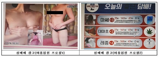 성매매 업소에 광고를 대행한관련 자료. 사진/서울지방경찰청 © News1