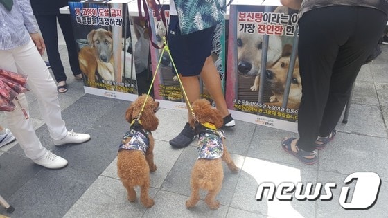 '개·고양이 식용금지법 제정' 서명중인 반려인.© News1 김연수 기자