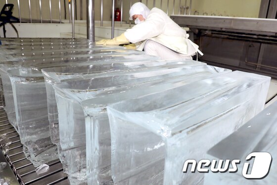  강원 춘천시 한 얼음공장에서 직원이 얼음 상태를 점검하고 있다. (뉴스1 DB)