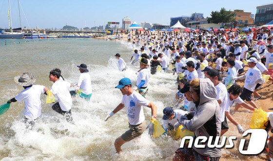 속초 장사항 오징어맨손잡기 축제/뉴스1 © News1 고재교 기자