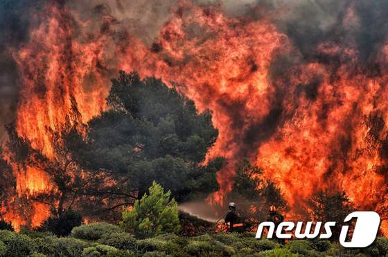 폭염에 의한 산불이 24일 (현지시간) 그리스 아테네 외곽 마을을 덮치고 있다.  © AFP=뉴스1 © News1 