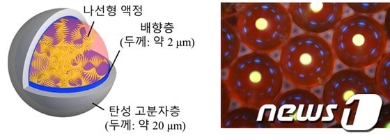 캡슐형 레이저 공진기의 구성(왼쪽)과 광학 현미경 사진(KAIST 제공)© News1