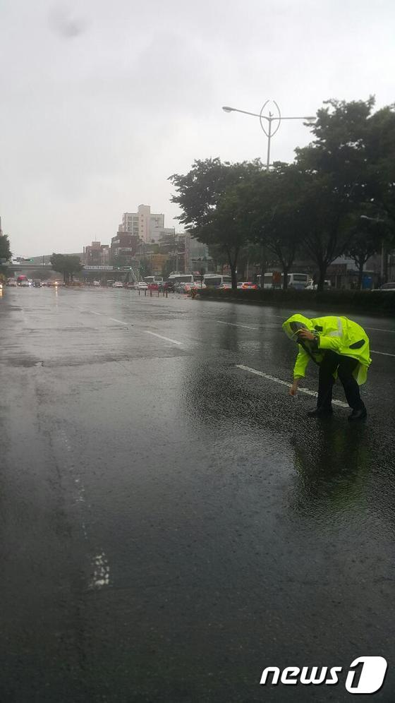 3일 오후 2시 부산 사상구 삼선병원 앞 도로에서 빗물에 떠다니는 현금을 줍고 있는 문해근 경사.(부산지방경찰청 제공)© News1