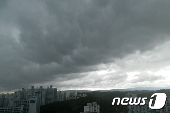 15일 오후 경북 포항시 전역에 소나기 구름이 지나가면서 굵은 빗줄기를 뿌렸다.2018.8.15/뉴스1 © News1 최창호 기자