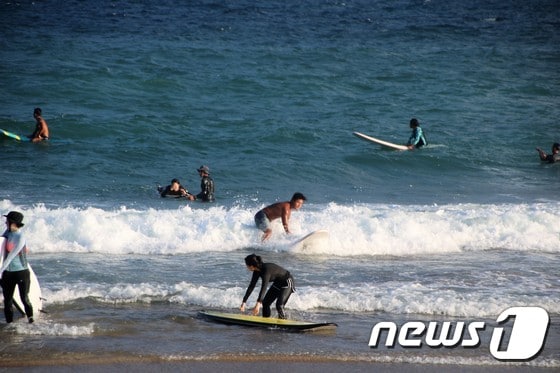 사계 해변에서 서핑을 즐기는 서핑 입문자들© News1