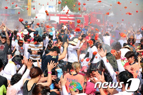 강원 화천토마토축제/뉴스1 © News1 홍성우 기자