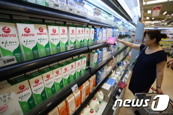 서울 시내의 한 대형마트에서 소비자가 우유를 고르고 있다.2018.8.9/뉴스1 © News1 구윤성 기자