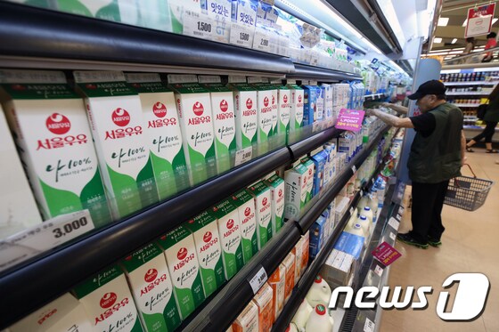 서울 시내의 한 대형마트에서 소비자가 우유를 고르고 있다.  /뉴스1 © News1 구윤성 기자