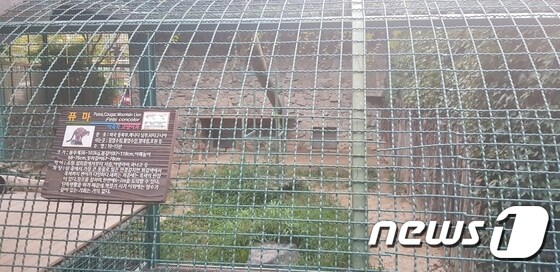 대전동물원 빈우리 © News1