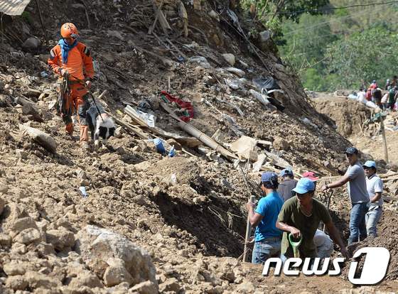 필리핀 구조대원들이 탐지견을 활용해 매몰된 이들을 수색하고 있다. © AFP=뉴스1