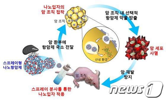홍합 단백질 기반 항암 초미세입자의 작용기전 모식도/자료=해양수산부© News1