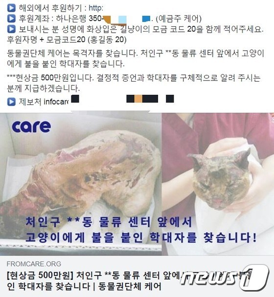 2017년 3월 누군가 불을 붙여 심한 화상을 입은 고양이. 현재 병원에서 아직도 치료를 받고 있다.(사진 케어 페이스북 캡처)© 뉴스1<br><br>