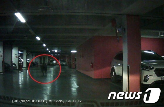23일 오전 3시34쯤 부산 사하구 당리동의 한 아파트 지하주차장에서 멧돼지가 뛰어다니는 모습.© 뉴스1