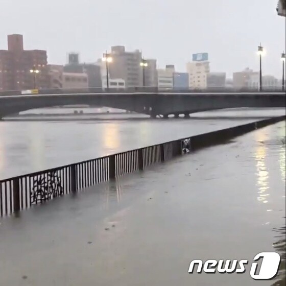  12일 제19호 태풍 하기비스의 영향으로 일본 스미다강이 범람한 모습. © 로이터=뉴스1
