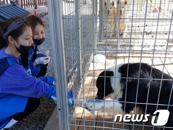 배우 공승연(왼쪽)이 지난 19일 용인시에 위치한 유기동물보호소에서 유기견과 교감하고 있다. © 뉴스1 최서윤 기자
