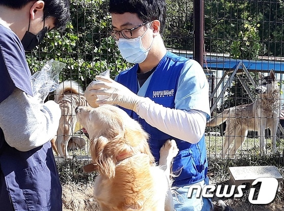 윤병국 수의사(오른쪽)가 지난 19일 유기동물에게 예방접종을 하고 있다. © 뉴스1 최서윤 기자