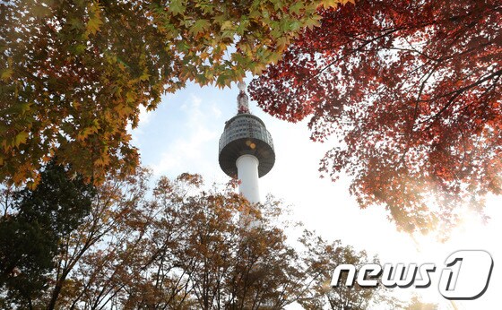서울 중구 N서울타워에서 바라본 남산에 단풍이 울긋불긋 물들어 있다.  © News1 