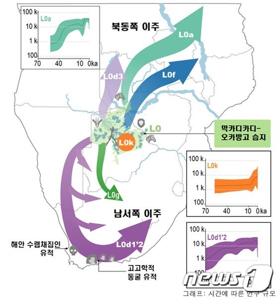 L0 그룹의 하위 계통과 이주 지도(IBS 제공)© 뉴스1