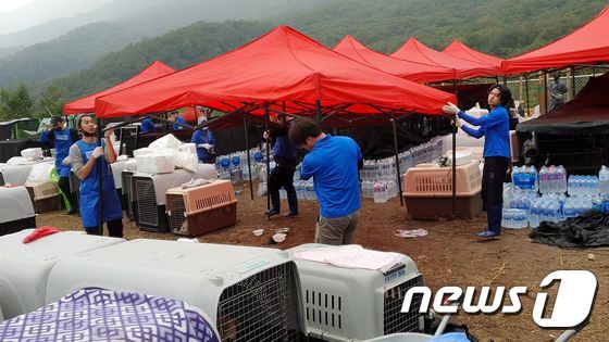 천막을 설치하는 봉사자들 © 뉴스1 문동주 인턴기자