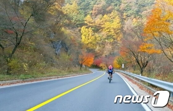 단양 영천면 보발재에서 라이딩을 즐기는 자전거 동호인.© 뉴스1