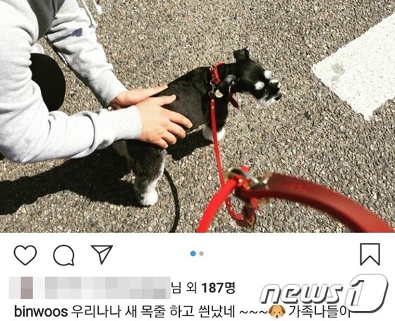 김빈우는 지난 2017년 4월 강아지 나나와 산책하는 사진을 올린 바 있다. 사진 김빈우 인스타그램 © 뉴스1