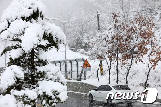 밤 사이 강원산지를 중심으로 많은 눈이 내린 28일 오전 강원도 고성 미시령에서 차량들이 서행하고 있다. 뉴스1 © News1 고재교 기자